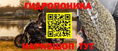 МДМА Кингисепп