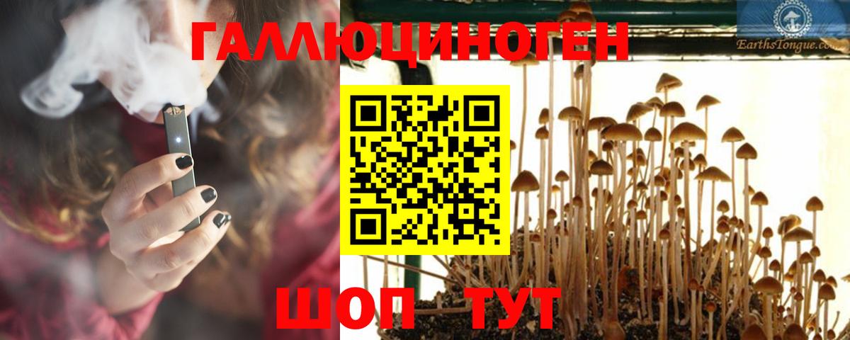 Галлюциногенные грибы Magic Shrooms  Псилоцибиновые грибы ЛСД  Вход с VPN  где можно купить   Котельники 